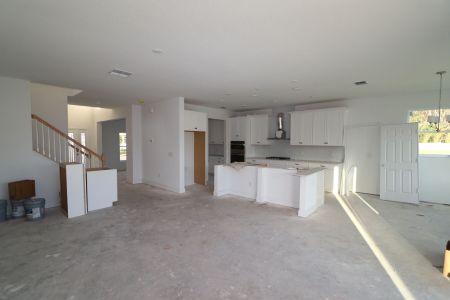 New construction Single-Family house 20288 Oriana Loop, Land O' Lakes, FL 34638 Coronado II- photo 79 79