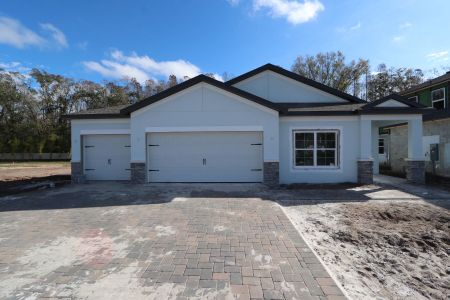 New construction Single-Family house 20339 Oriana Loop, Land O' Lakes, FL 34638 Newport II- photo 76 76