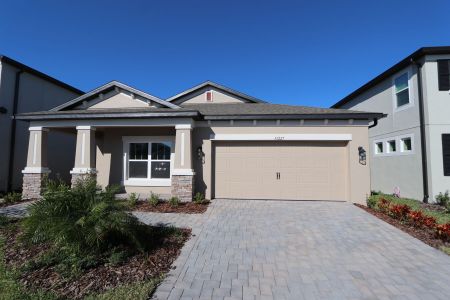 New construction Single-Family house 33227 Amling Pecan Br, Wesley Chapel, FL 33545 Newport II- photo 150 150