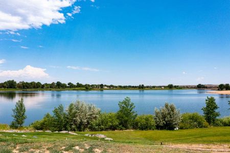 New construction Single-Family house 1734 Beachside Dr, Windsor, CO 80550 The Riviera- photo 32 32