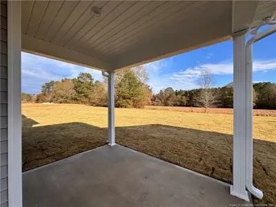 New construction Single-Family house 298 Elijah Wy, Vass, NC 28394 - image