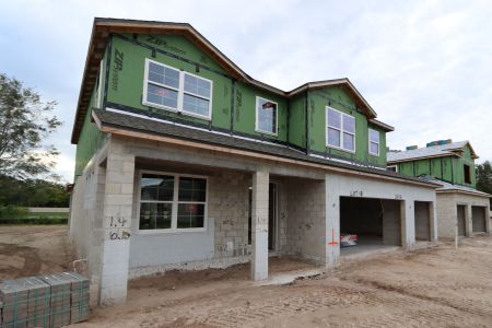 New construction Single-Family house 20131 Oriana Loop, Land O' Lakes, FL 34638 Sonoma II- photo 79 79