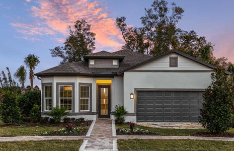 New construction Single-Family house 6320 Southwest 89th Court Road, Ocala, FL 34481 - photo 0