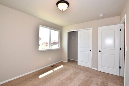 New construction Single-Family house 437 Vivid Ln, Windsor, CO 80550 null- photo 4 4