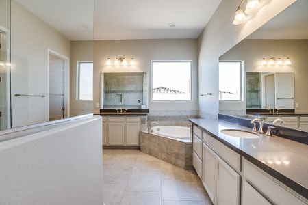 New construction Single-Family house 19910 W Mulberry Dr, Buckeye, AZ 85326 null- photo 12 12