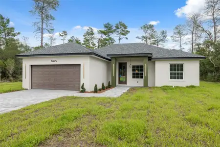 New construction Single-Family house 15225 SW 29th Terrace Rd, Ocala, FL 34473 - image