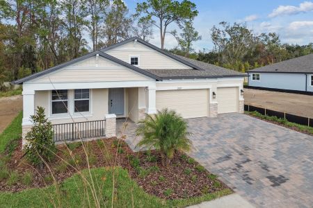 New construction Single-Family house 20219 Oriana Loop, Land O' Lakes, FL 34638 Corina  III- photo 138 138