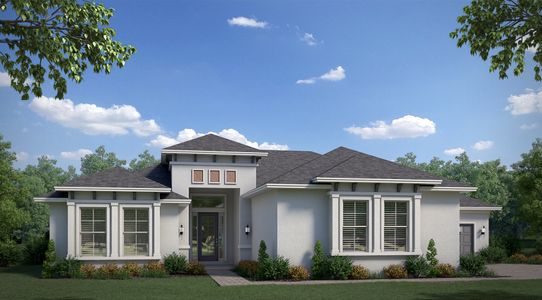 New construction Single-Family house 5333 Lake Venice Dr, Wimauma, FL 33598 null- photo 0