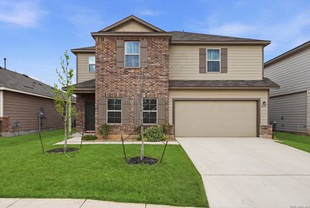 New construction Single-Family house 6751 Tasajillo Spg, San Antonio, TX 78253 - image