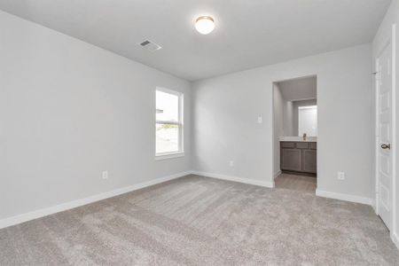New construction Single-Family house 18207 Walnut Canopy Wy, Tomball, TX 77377 Plan 265- photo 20 20