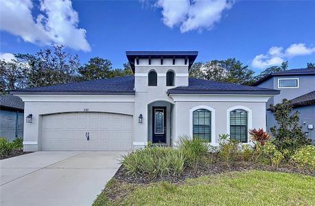 New construction Single-Family house 11389 Weaver Hollow Rd, New Port Richey, FL 34654 Salerno- photo 0