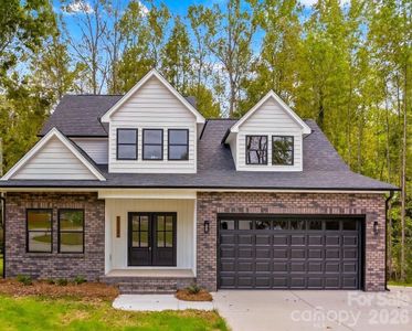 New construction Single-Family house 36 Elizabeth Dr, China Grove, NC 28023 - image