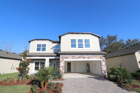 New construction Single-Family house 12008 Hilltop Farms Dr, Dade City, FL 33525 Alenza- photo 99 99