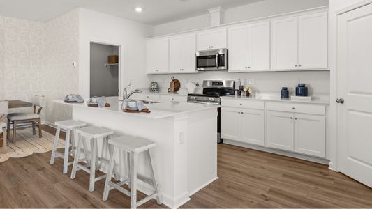 Planter's Ridge: Fields at Planter's Ridge Two-Story 10