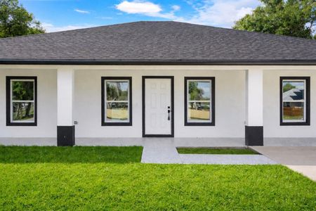 New construction Single-Family house 21483 Nw 262Nd St, Okeechobee, FL 34972 - image