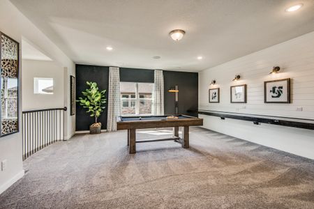 New construction Single-Family house 207 Oak Crest Dr, Justin, TX 76247 plan Monte Carlo - image 17