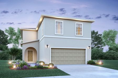 New construction Single-Family house 2519 Avalon Park Blvd, Tavares, FL 32778 null- photo 0