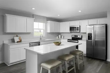 New construction Single-Family house 101 Pampas St, South Mills, NC 27976 plan Hazel - image