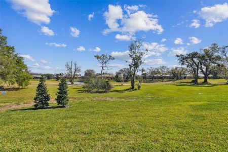 New construction Single-Family house 3681 Nandina Cir, Sun City Center, FL 33573 Sandpiper- photo 16 16