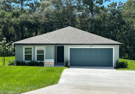 New construction Single-Family house 8410 N Pocono Dr, Citrus Springs, FL 34434 - image