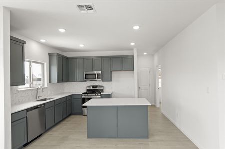 New construction Single-Family house 226 James Caird Dr, Kyle, TX 78640 Hartley- photo 13 13