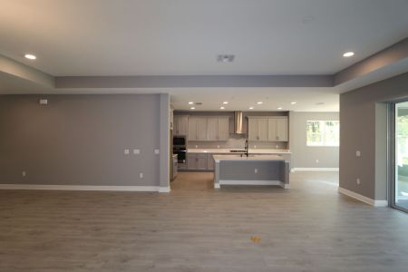 New construction Single-Family house 20243 Oriana Loop, Land O' Lakes, FL 34638 Corina  III Bonus- photo 114 114