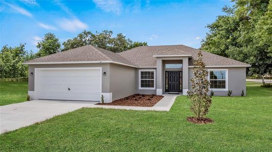 New construction Single-Family house 1150 E Bates Ave, Eustis, FL 32726 null- photo 0