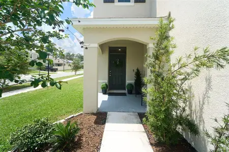 New construction Single-Family house 10826 Trailing Vine Dr, Tampa, FL 33610 null- photo 5 5