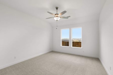 New construction Single-Family house 310 Hope Orchards Dr, Lavon, TX 75166 plan Tucker - image 16