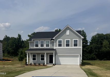 New construction Single-Family house 263 Bunker Hill Place St, Unit Lot 46, Angier, NC 27501 - image