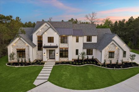 New construction Single-Family house 6905 Hollyleaf Ct, Montgomery, TX 77316 - image