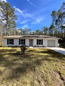 New construction Single-Family house 10670 Beckenger Ave, Hastings, FL 32145 - image