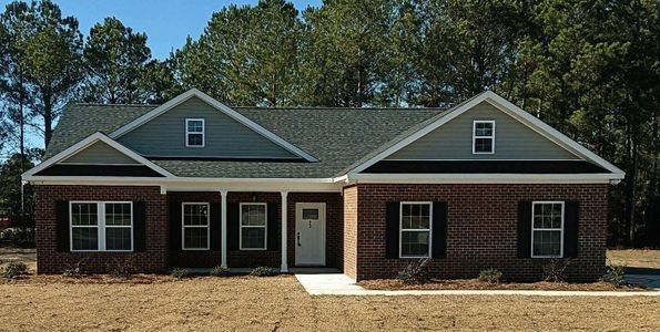 New construction Single-Family house 215 Woodberry Dr, Orangeburg, SC 29115 - image