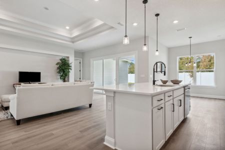 Sandy Bluff by SEDA New Homes in Yulee - image 14