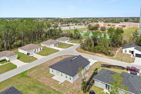 New construction Single-Family house 3995 Sw 151 St, Ocala, FL 34473 null- photo 27 27