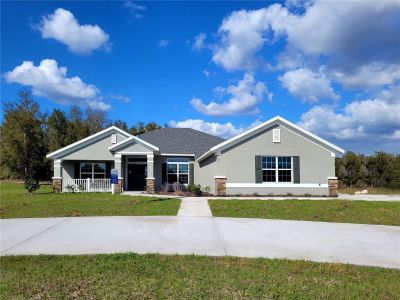 New construction Single-Family house 25 Nw 113Th Cir, Ocala, FL 34482 2508- photo 0