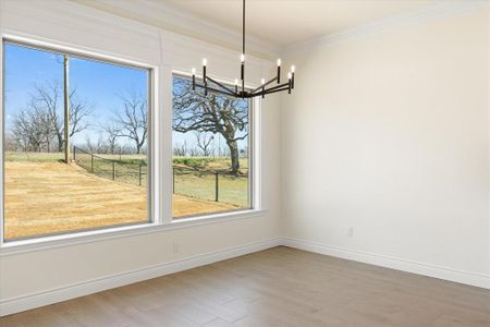 New construction Single-Family house 10115 Ravenswood Rd, Granbury, TX 76049 null- photo 12 12