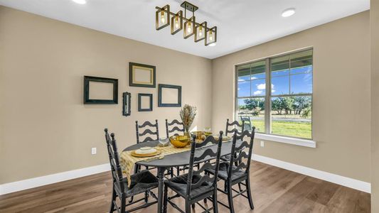 New construction Single-Family house 280 Jupiter Trl, Weatherford, TX 76088 - image 13