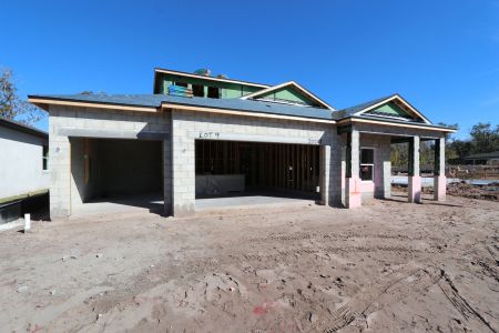 New construction Single-Family house 20267 Oriana Loop, Land O' Lakes, FL 34638 Newport II Bonus- photo 64 64