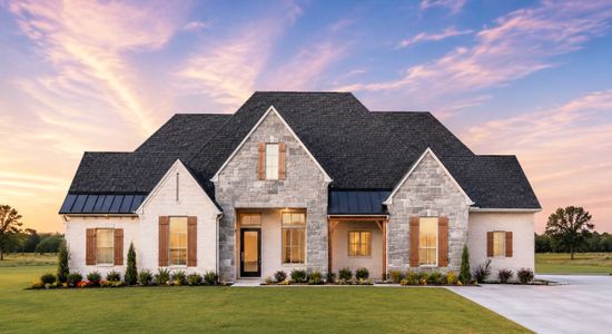 New construction Single-Family house 317 Bristol Valley Ct, Heath, TX 75032 plan Aspen - image