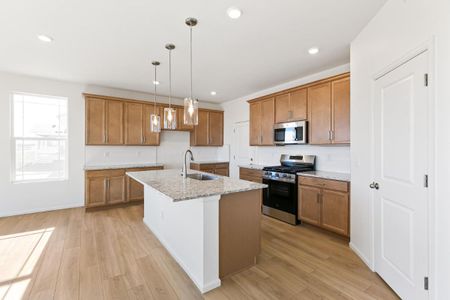 New construction Single-Family house 1642 S Gold Bug Wy, Aurora, CO 80019 - image