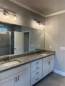 New construction Single-Family house 2736 Thomas View Ct, Loganville, GA 30052 - image 8