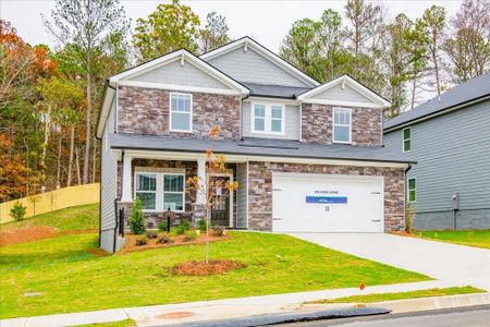 New construction Single-Family house 181 Ivey Township Dr, Dallas, GA 30132 Dakota- photo 3 3