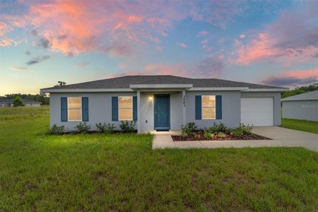 New construction Single-Family house 14893 Sw 23Rd Pl, Ocala, FL 34481 null- photo 0