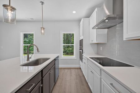 New construction Single-Family house 113 Southview Dr, Ellenwood, GA 30294 - image 5