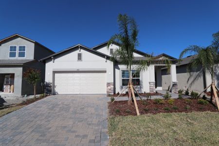 New construction Single-Family house 4869 Foxglove Cir, Lakeland, FL 33811 Picasso- photo 0