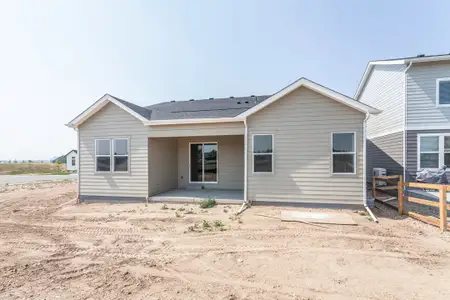 New construction Single-Family house 734 Trumpet Ct, Windsor, CO 80550 plan Morrison - image 4
