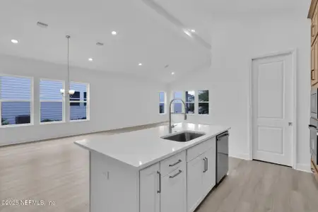 New construction Single-Family house 166 Blue Hampton Dr, Nocatee, FL 32081 plan Silver - image 4