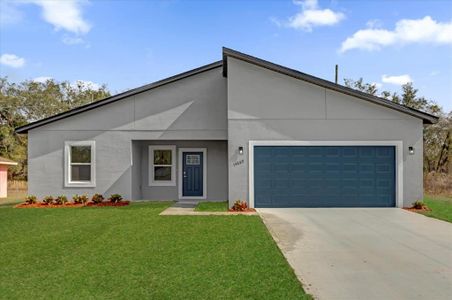 New construction Single-Family house 14889 Sw 46Th Ct, Ocala, FL 34473 null- photo 0