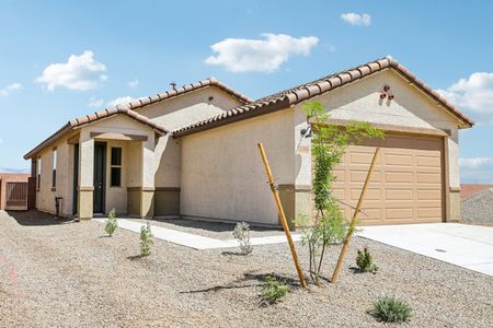 New construction Single-Family house 12388 N Bella Victoria Rd, Marana, AZ 85658 - image